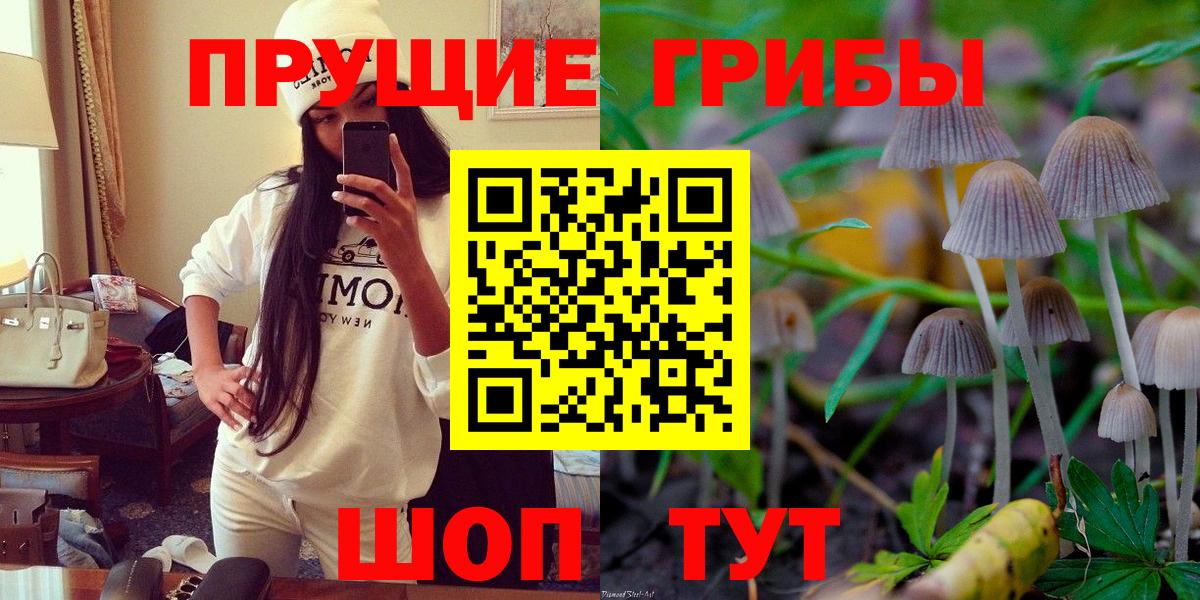 Новокузнецк  наркота  Вход с VPN  Галлюциногенные грибы мухоморы 