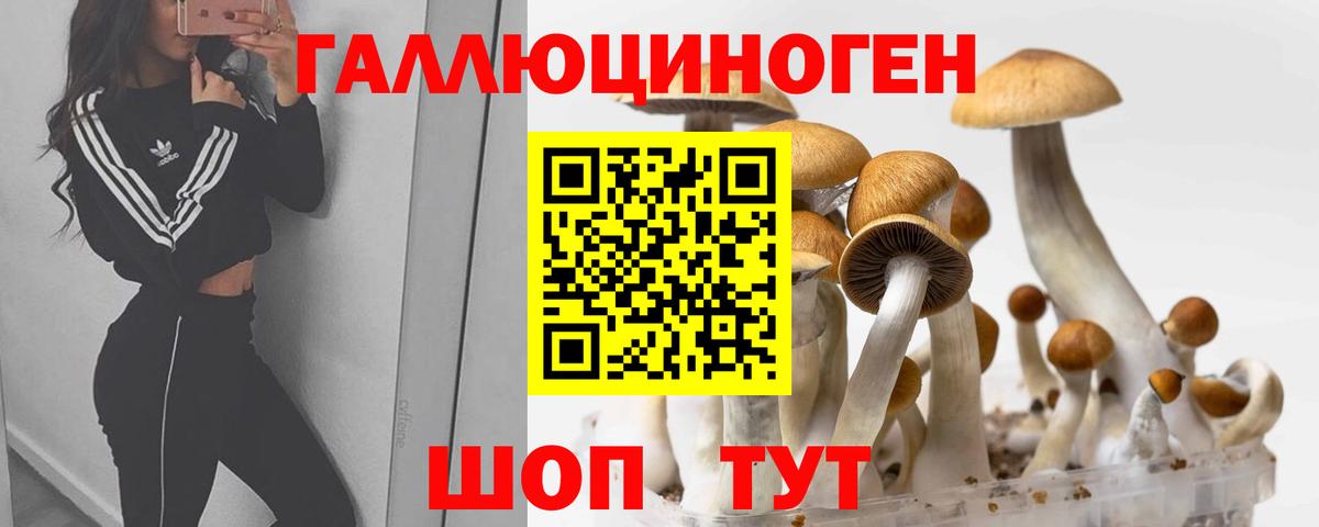 Галлюциногенные грибы Cubensis Новокузнецк